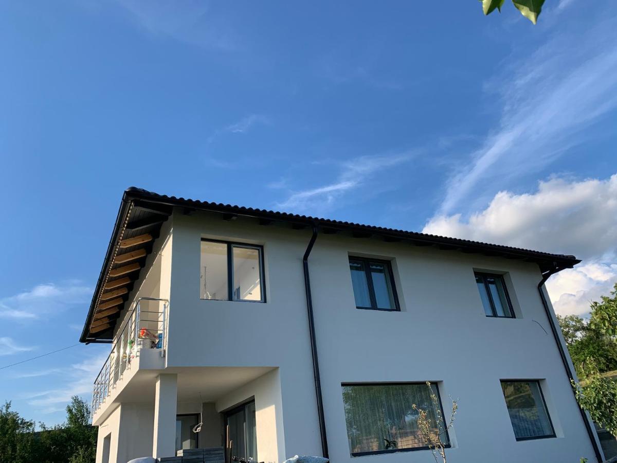 Villa Viktoria House Odorheiu Secuiesc Exterior foto