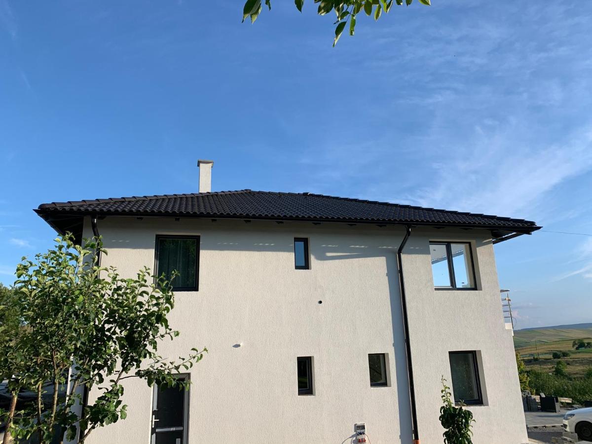 Villa Viktoria House Odorheiu Secuiesc Exterior foto