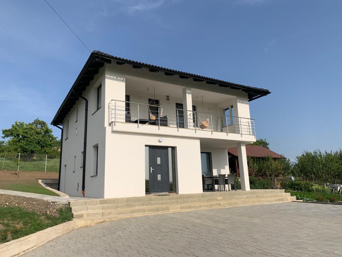 Villa Viktoria House Odorheiu Secuiesc Exterior foto