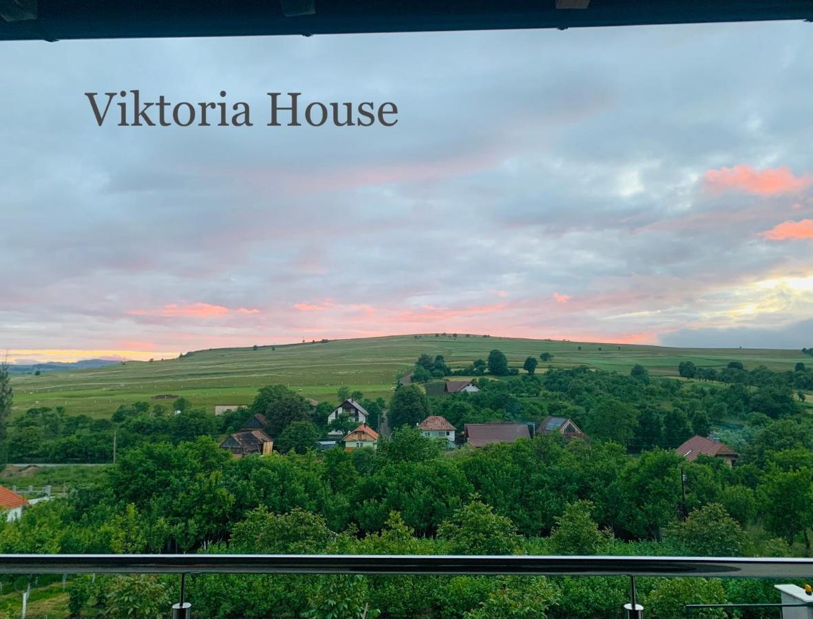 Villa Viktoria House Odorheiu Secuiesc Exterior foto