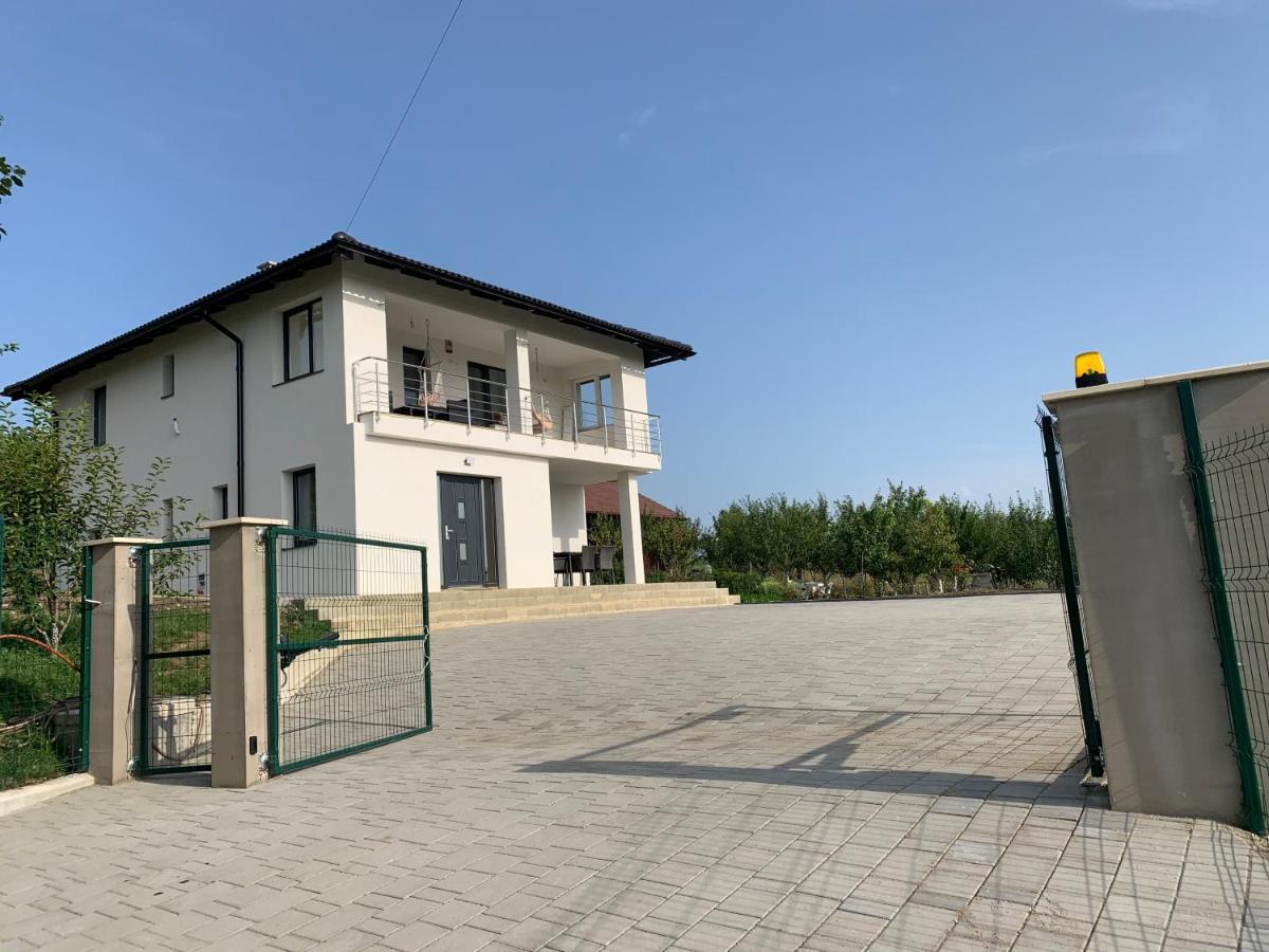 Villa Viktoria House Odorheiu Secuiesc Exterior foto